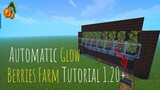 Minecraft Automatic Glow Berry Farm Tutorial 1.20+