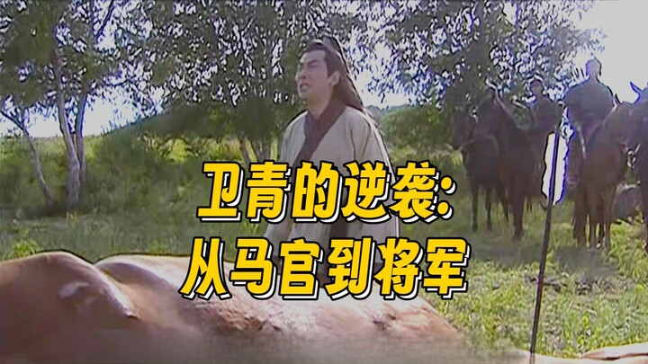 Emperor Wu of Han mistakenly ordered a military horse to be killed. Wei Qing was heartbroken and exp