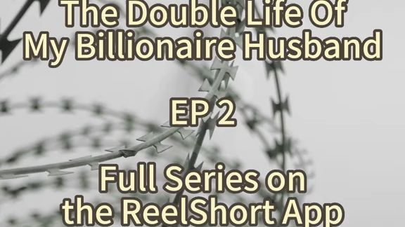 The Double Life of My Billionaire Hubby