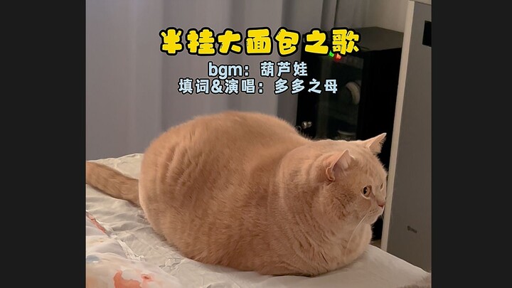 "เพลงขนมปังกึ่งพ่วง" ต้องคิดหาวิธีทำให้พวกคุณได้รู้จักแมวผู้ร้องเพลง "แมวตัวร้าย" เดิม...