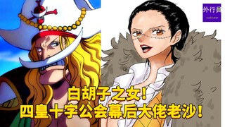 白胡子之女！四皇十字公会幕后大佬老沙！#1858