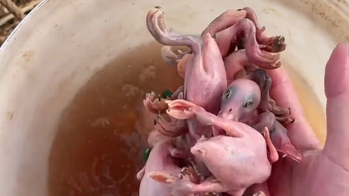 I heard only Cantonese people dare to eat this?