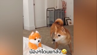 ความตลกที่น่าเอ็นดู