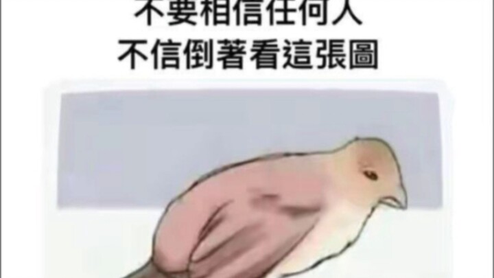 Câu trả lời bá đạo 35