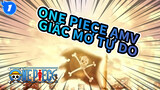 Giấc mơ tự do | One Piece AMV_1