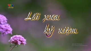 Dân ca nhạc cổ : Lối xưa kỷ niệm (VTV Cần Thơ - 12/11/2024)