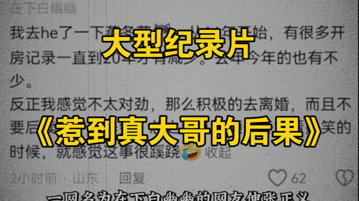 大型纪录片《惹到真大哥的后果》