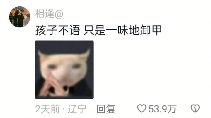 The very first thing this kid does when he gets home for vacation!