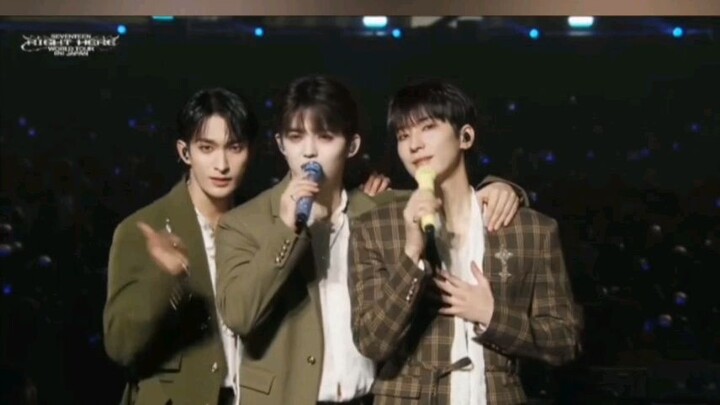 hitorijanai - seventeen