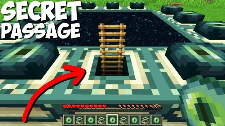 I found SECRET PASSAGE INSIDE THE END PORTAL in Minecraft ! WHERE DOES THIS LADDER LEAD ?