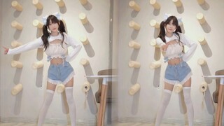 Apakah Anda menyukai pakaian kucing susu biru hari ini?