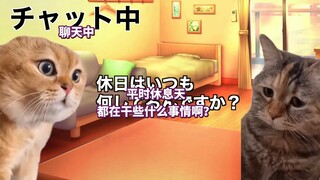 【熟肉】约会软件的日常（男性视角） | 猫meme