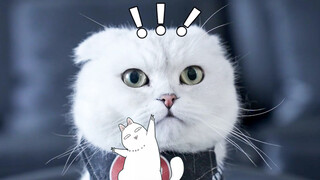 【Animal Circle】Where is the child mode on TV?