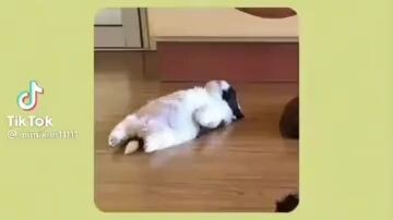 toturial box for your crush or your boyfriend & girlfriend