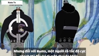 Top 7 Trái Paramecia Phòng Thủ Cực Mạnh Trong One Piece #2- 4