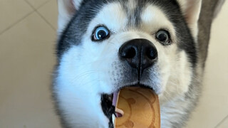 Let’s share the pancakes~
