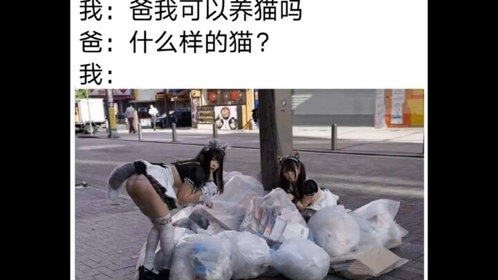 (Ảnh chế hài hước trên mạng 812)