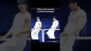 Yeogi ocean view 🌊 #seventeen #scoups #mingyu