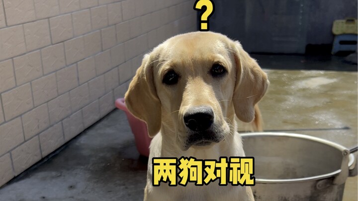 Are you polite?