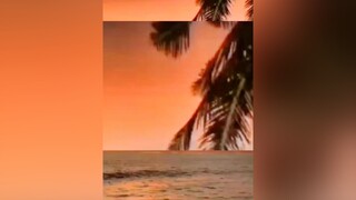 reviewphim xuhuong review phimhay phimhaymoingay