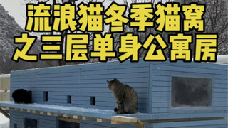 给流浪猫制作四层冬季猫窝的第三层之“单身公寓”