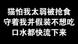 《关于猫帮我护食那件事》