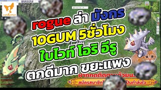 ragnarok classic rogue ล่าใบไวท์ และ โอริ อีรู ที่ map มังกร 10 GUM 5 ชั่วโมง ขยะราคาดี เลเวลไม่เยอะ