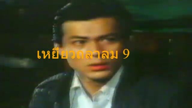 เหยี่ยวถลาลม9