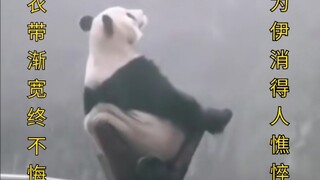 五千年了，阿尤你还OK吗？