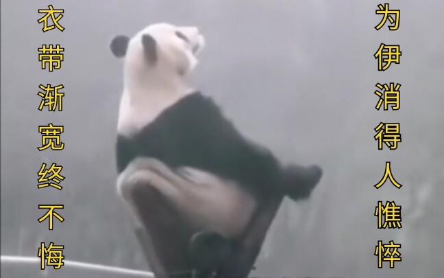 五千年了，阿尤你还OK吗？