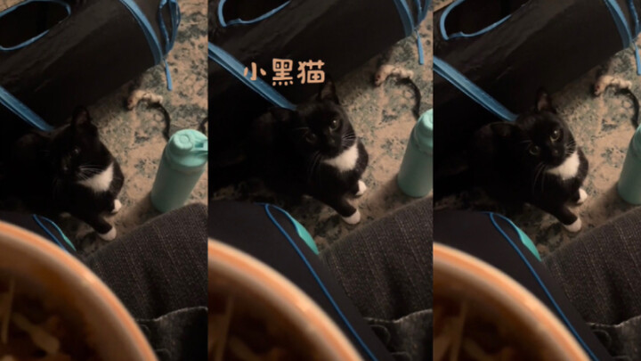 Feed it, feed it 🥺