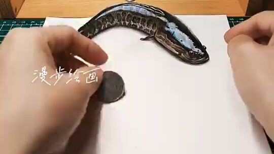 3D DRAWING