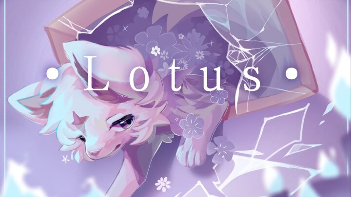 【MAP Bersaing/Animasi Kerja Sama】 Lotus