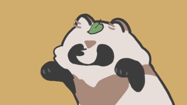 小貉子的pedro