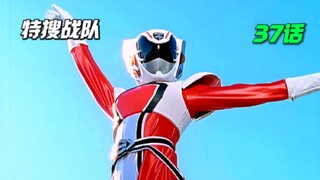 【特摄解说】天鹅姐的同事 嫉妒她的才华？治愈系的刑事天鹅登场！