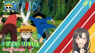 [ANIME FANDUB INDONESIA] 3 BOCAH SEMPRUL | ONE PIECE EP 494 PART 1