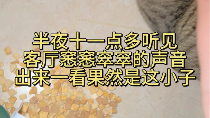 Tengah malam, ada makhluk tak dikenal masuk ke rumah dan ternyata lagi mencuri makan…