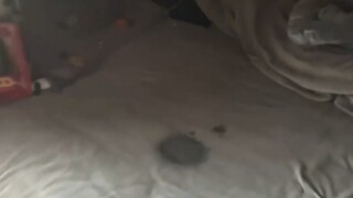 Tidak mas, bagaimana aku bisa tidur seperti ini?