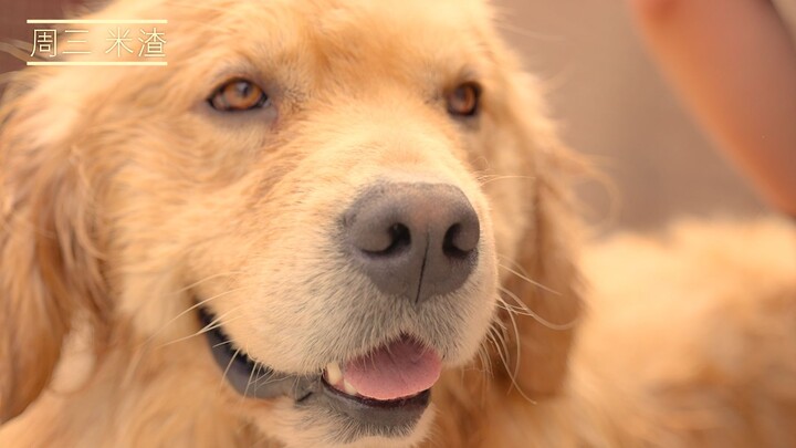 (Infinite Tsukuyomi) A Washed Dog and a Little Ditch