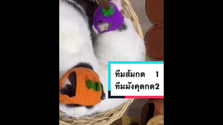 พึ่งเห็นหน้าเห็นตานะพี่เป้า