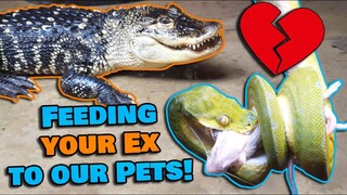 Feeding your Exes to our Reptiles for Valentine's Day!