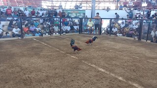 2nd fight