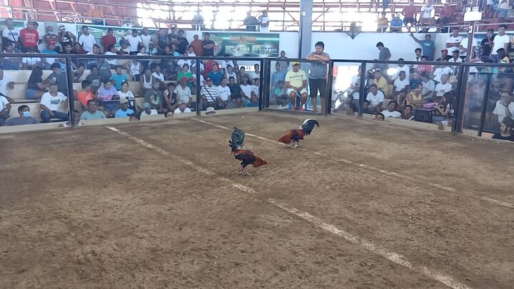 2nd fight