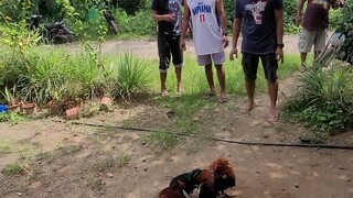 #tigbakay