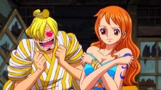 JADI BEGINI KELAKUAN SANJI DI BELAKANG!!?🥵🤤
