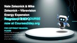 [GET] Nate Zeleznick & Mike Zeleznick – Vibravision Energy Expansion Program (V.E.E.P.)