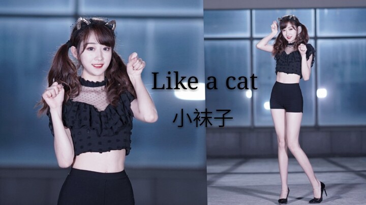 【小袜子】竖屏♥猫步轻俏♥like a cat♥性感小野猫