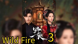 3  野火Yěhuǒ [Wild Fire].... ❤️🔥