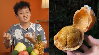 [Fruit Hunter × Hunter] Nhận dạng "Trái cây cao su Borneo" (trên Internet)