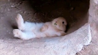 躺平的人生，突然被打扰。